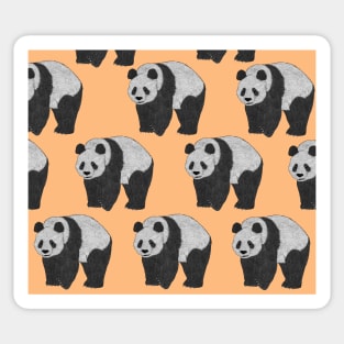 Amazing Giant panda Sticker